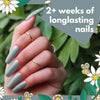 Load image into Gallery viewer, &quot;Bee&#39;s Knees&quot; 6-Colour Gel Polish Set
